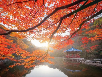내장산 – Một trong những địa điểm đẹp nhất khi Hàn Quốc vào thu
